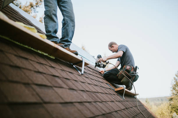 Best Storm Damage Roof Repair  in West Cape May, NJ